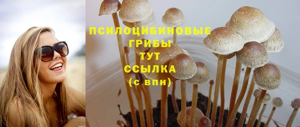 бутират Богданович