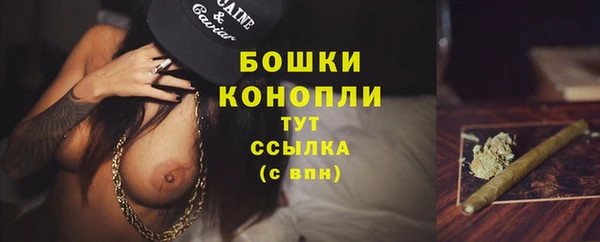 бутират Богданович