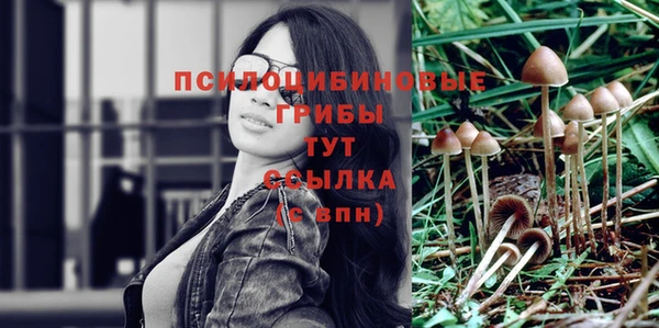 бутират Богданович